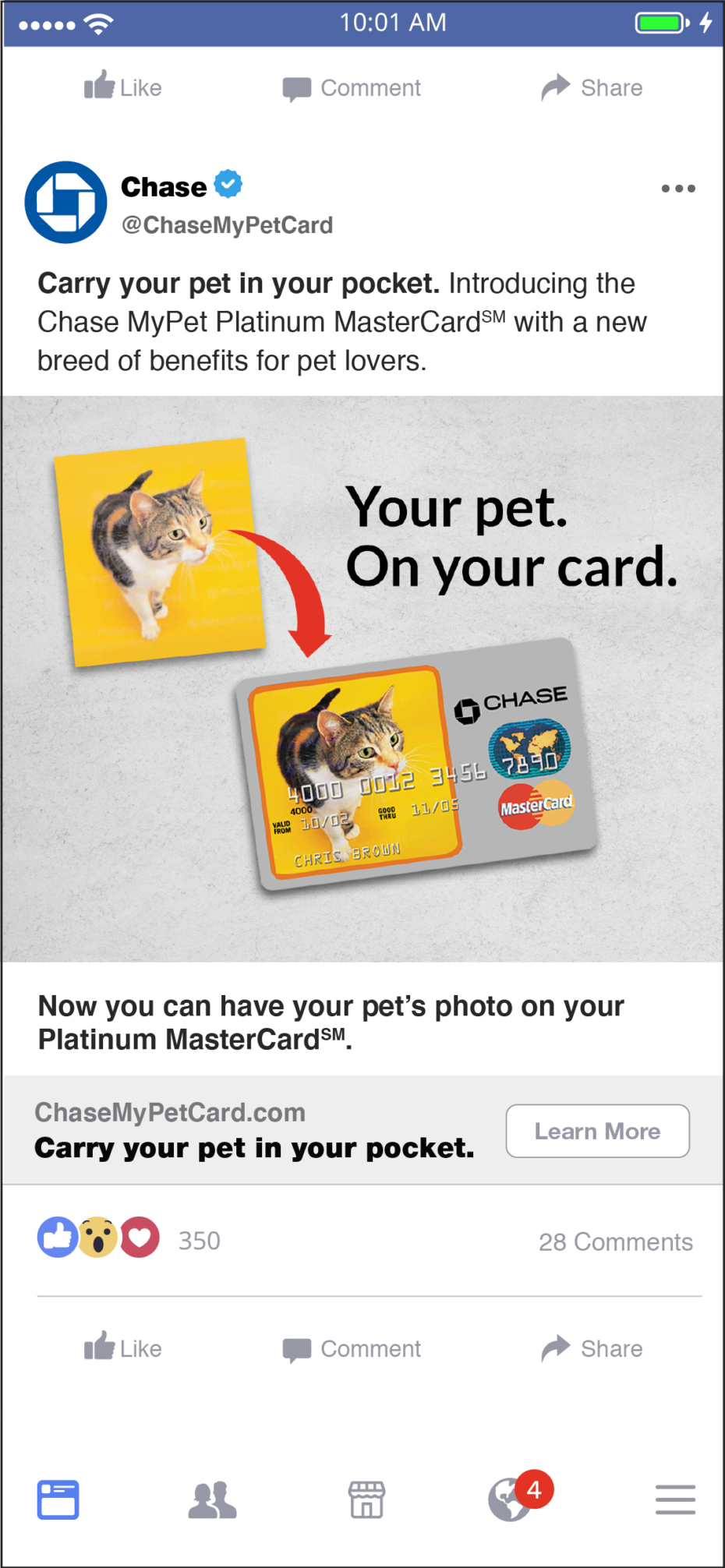 Chase MyPet Facebook Ad Cat