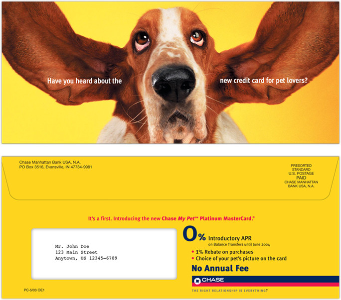 Chase Outer Envelope Bassett Hound